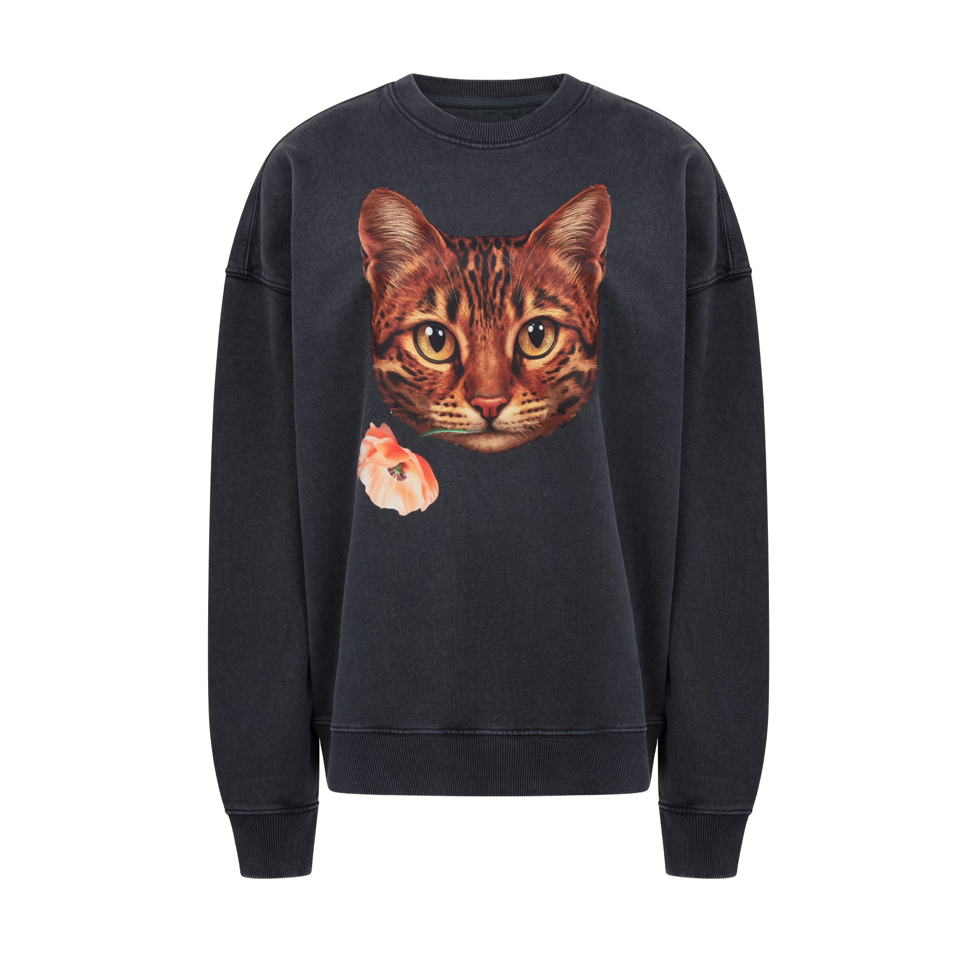 CATTY SWEATER