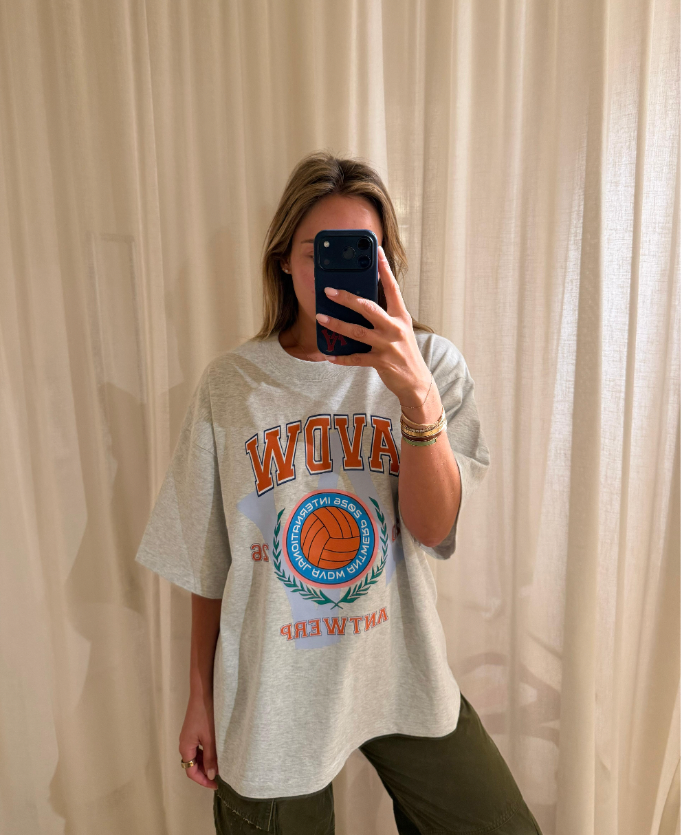 VolleyBall gray AVDW