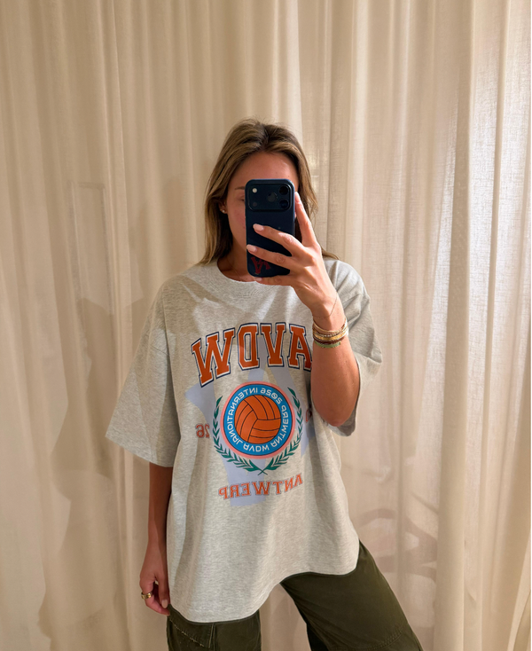 VolleyBall gray AVDW