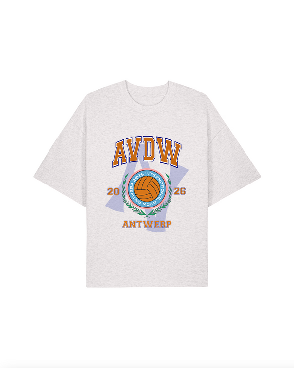 VolleyBall gray AVDW